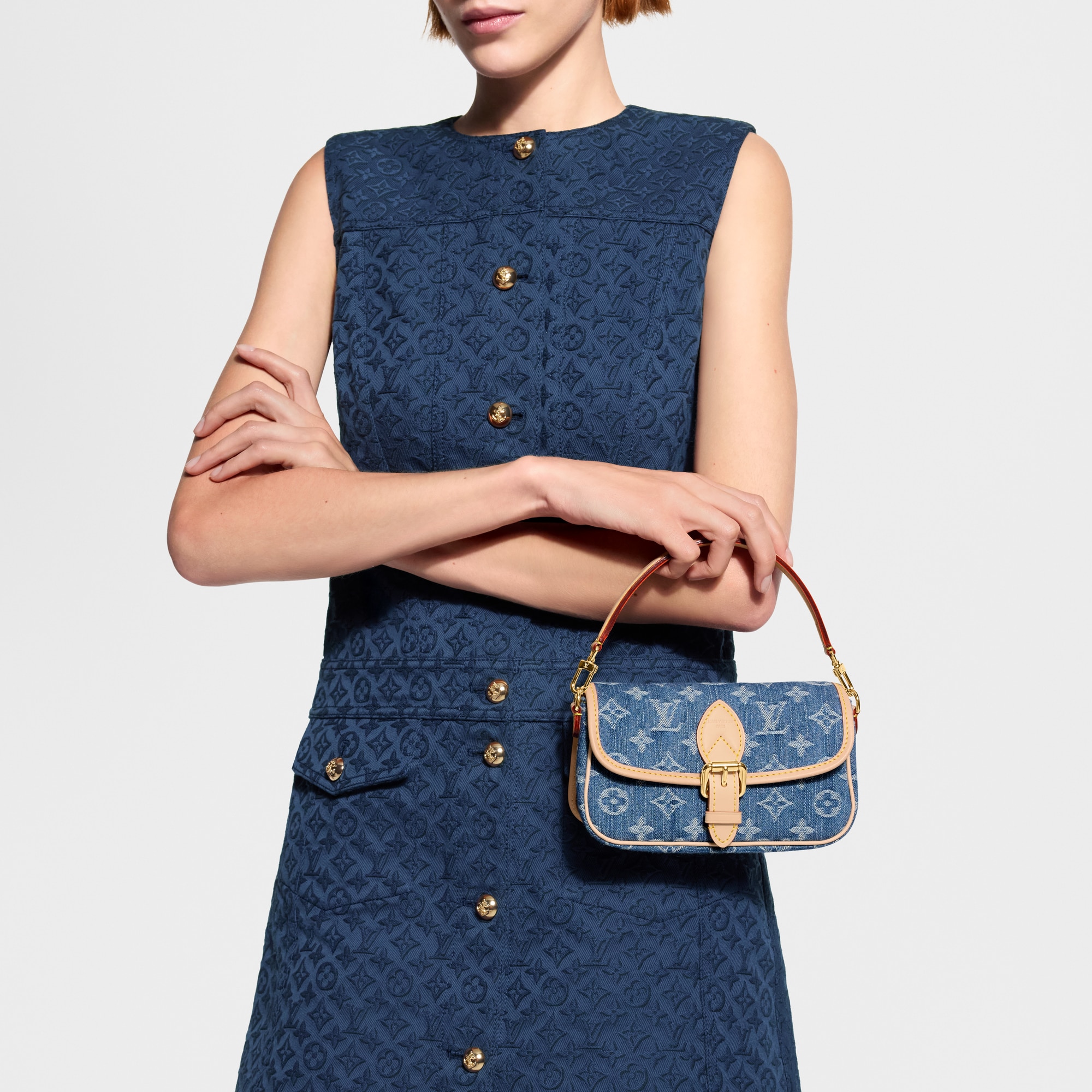 Nano Diane Monogram Denim - Women - Small Leather Goods | LOUIS